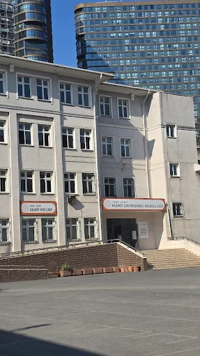 Kadıköy asansör servisi